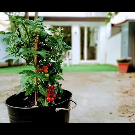 Piccolo Loft Con Giardino Holiday home