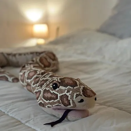 Casetta Con Giardino