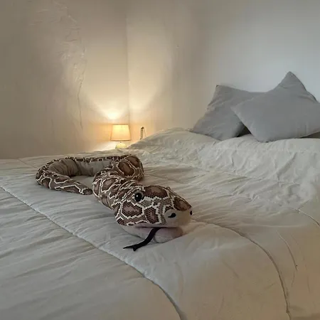 Casetta Con Giardino Holiday home Lido delle Nazioni