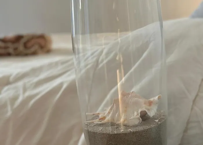 Casetta Con Giardino Lido delle Nazioni