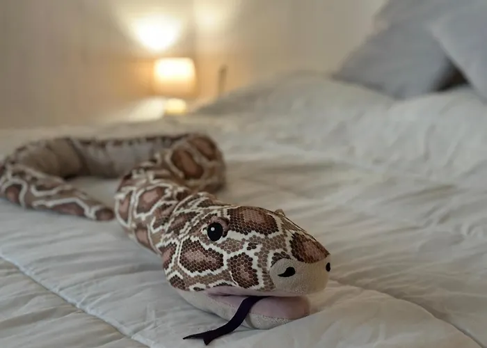 Casetta Con Giardino