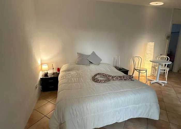 Casa vacanze Casetta Con Giardino Lido delle Nazioni