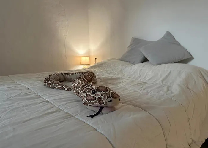 Casetta Con Giardino Semesterbostad Lido delle Nazioni